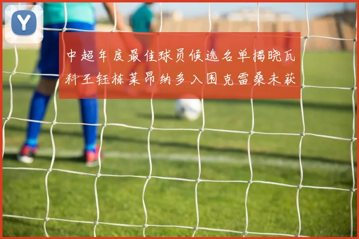 中超年度最佳球员候选名单揭晓瓦科王钰栋莱昂纳多入围克雷桑未获提名