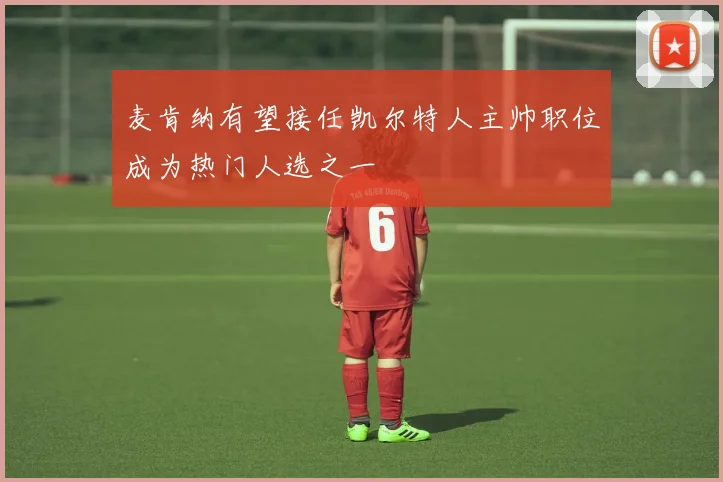 麦肯纳有望接任凯尔特人主帅职位成为热门人选之一