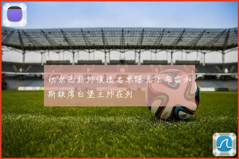 切尔西新帅候选名单曝光法布雷加斯缺席白堡主帅在列