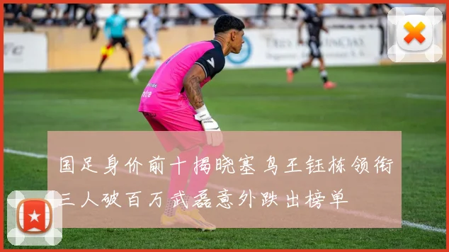 国足身价前十揭晓塞鸟王钰栋领衔三人破百万武磊意外跌出榜单