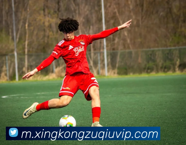 2025年进球榜揭晓姆巴佩领先凯恩哈兰德奥利塞青木紧随其后